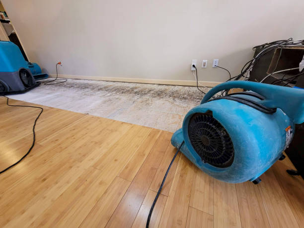 Professional Water Damage Repair technician working in Pine Level, AL